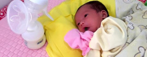 Breastpump Avent Comfort Manual, Memompa Tanpa Sakit