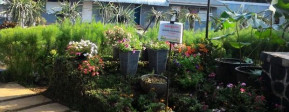 Wisata Edukasi Sentul Fresh Farm