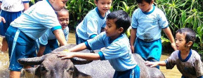 Aktivitas yang Mendukung Eksplorasi Si Petualang Cilik