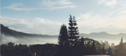 Liburan Singkat ke Lembang