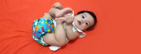 Clodi Little Hippo Easy Fit, Sahabat Berpergian Janna