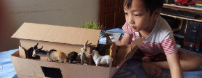 DIY Mainan Kardus: Mengasah Imajinasi dan Kreativitas Anak