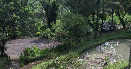 Onsen a la Gunung Pancar Bogor