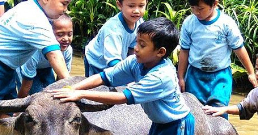 Aktivitas yang Mendukung Eksplorasi Si Petualang Cilik